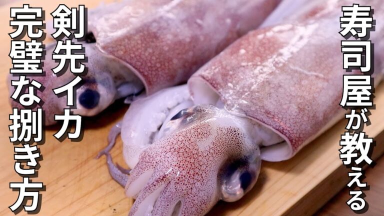 ケンサキイカ(剣先イカ)の捌き方～初心者でもできる刺身の作り方