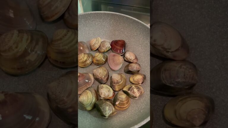 はまぐりの酒蒸し作ってみた🥺✨ I made sake-steamed clams #japan #food