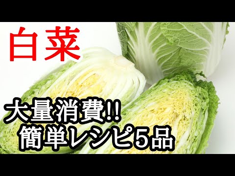 【白菜】使い切り!!簡単大量消費レシピオススメ5選
