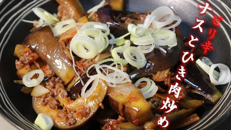 『ピリ辛ナスとひき肉炒め』恐竜Cooking　Vol.48