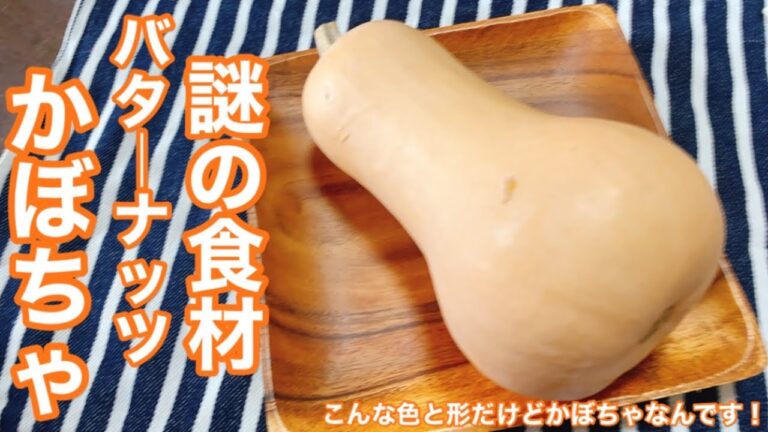 【バターナッツかぼちゃレシピ】謎の食材バターナッツかぼちゃを調理してみた！バターナッツかぼちゃのスープ【謎の食材】