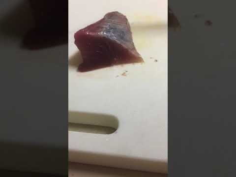 戻りカツオのトロ   お造り