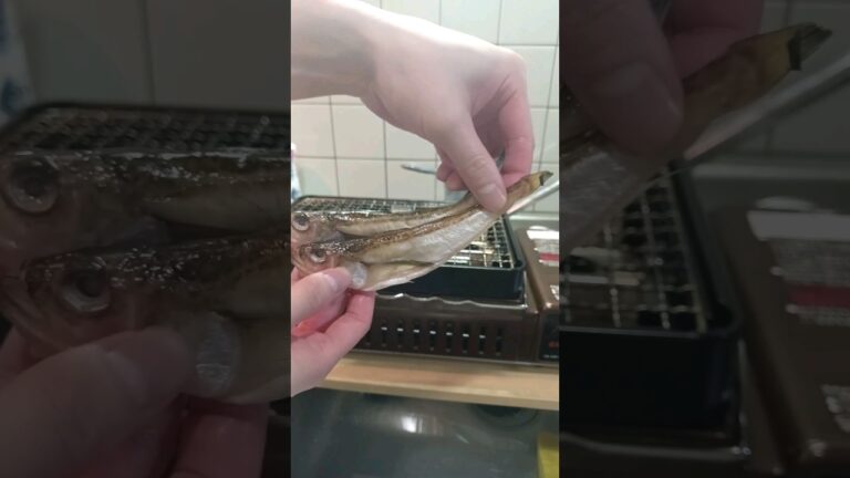 【炙りや】「ハタハタ」を網焼きして日本酒をキメる債務者