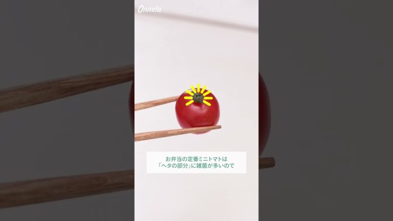 お弁当を傷みにくくする必見テク