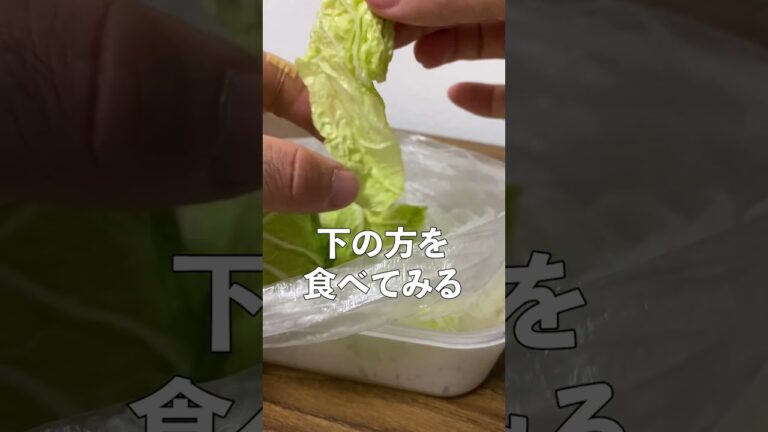 浅漬けの素で白菜の漬物作ってみた #Shorts