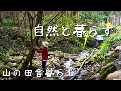 山の田舎暮らしスローライフ🌲好きなことで心を満たす秋の休日｜里芋掘りと煮っころがしご飯🍚