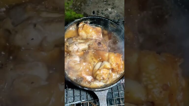 【キャンプ飯】煮るだけ簡単な手羽元のビール煮【醤油とビールだけ】 #shorts #short #キャンプ飯