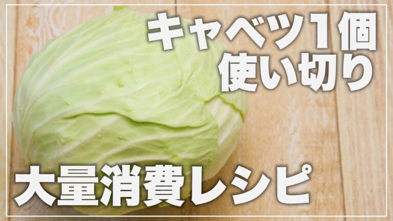 【キャベツレシピ】キャベツを丸々一個使うキャベツアレンジレシピを一挙ご紹介 【子供が喜ぶ栄養満点レシピ】