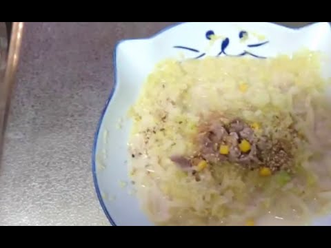 【料理レシピ】レンジでちゃんぽん風うどんの作り方♪