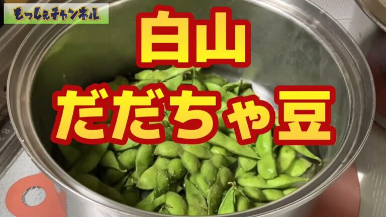 【だだちゃ豆】年間通じて今が最盛期。一番美味しくいただきました#白山だだちゃ豆#ゆで方のコツ#豆ご飯の裏技#山形県鶴岡市 #食の都庄内