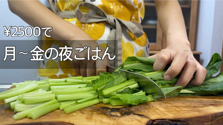 【節約料理】食費2.5万円！夏野菜たっぷり平日夜ごはん/ロコモコ丼/南蛮漬け/鶏団子/ムニエル/ひき肉あんかけ
