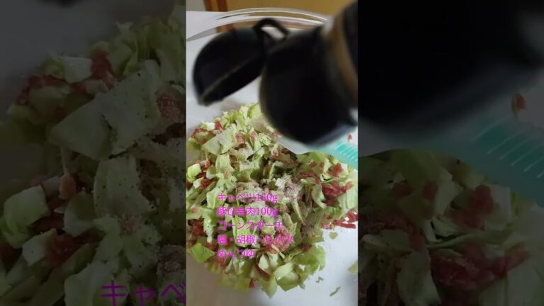 キャベツたっぷり和風煮込みハンバーグ