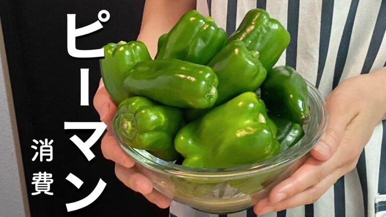 【ピーマン消費】常備菜作りと今日の晩ごはん【作り置きレシピ】