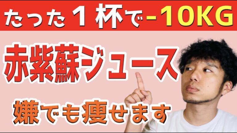 【赤紫蘇ジュースダイエット】1日一杯だけで痩せる、正しい飲み方【脂肪燃焼:腸活:老化防止】
