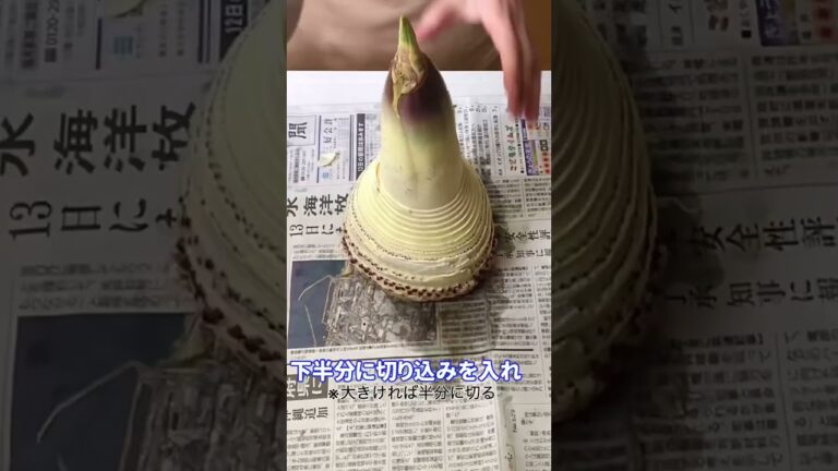 筍 一気に皮むき 筍の水煮　筍のあく抜き 筍の下処理 皮を小さく捨てられます