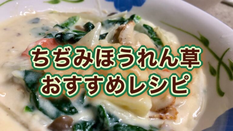 【ちぢみほうれん草】いつもの味に炒めて混ぜるだけ！冬限定の絶品クリームシチュー♡