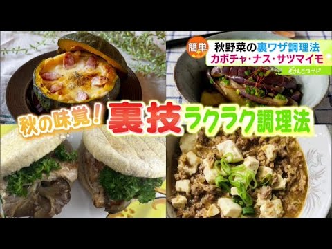 秋野菜のお悩み解消！驚きの裏ワザ調理法【どさんこワイド179】2023.10.05放送