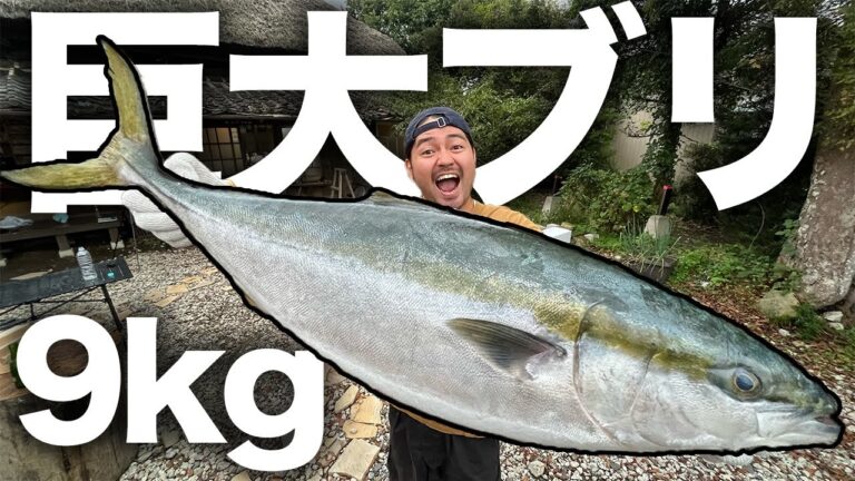 【爆食】9.3kg巨大ブリを丸ごと捌く！脂ノリまくりな刺身を炙り茹でで三色丼とブリ大根にして食べ尽くす！