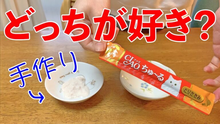 実験【手作り猫ごはん】手作りちゅ〜る作ってみたらこうなった