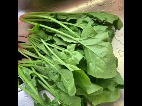 ほうれん草の味噌和え