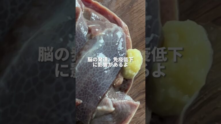 給食の先生が教える子ども爆食レバーレシピ！ #幼児食メニュー #幼児食 #1歳ご飯 #2歳ご飯 #偏食 #子どもごはん #保育園給食 #レシピ #レシピ動画 #簡単レシピ