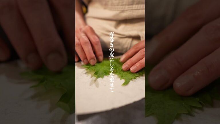 【おうち居酒屋】海老しそ春巻き【簡単レシピ】