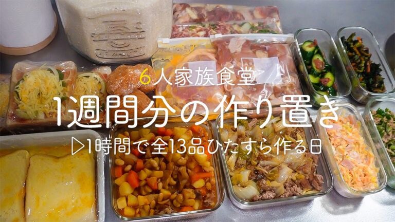 【1時間で全13品5000円】1週間分の作り置き＆冷凍ストックをひたすら作る日【６人家族のつくりおき】【簡単レシピ】