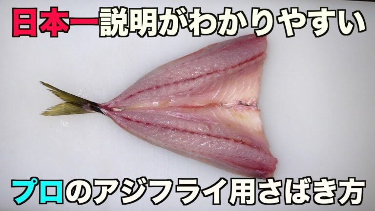 誰でも簡単わかりやすい【鯵アジ】フライ用さばき方　背開き