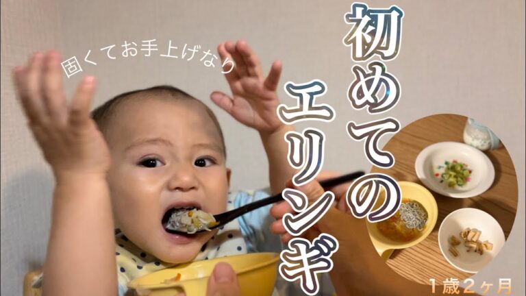初めてのエリンギ【離乳食246日目】【1歳2ヶ月】