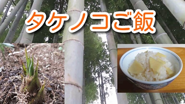 【旬を味わう】簡単で美味しいタケノコご飯の作り方