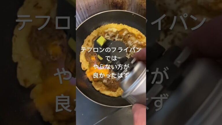 残ったカレーをアレンジ  【カレーピザ•ナン•炙り焼き】