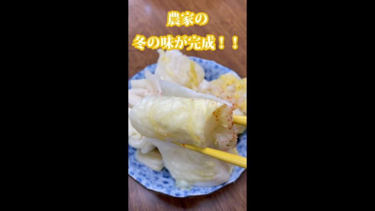 【農家めし】冬の白菜漬け完成！ #shorts