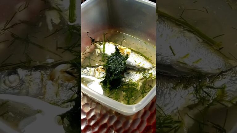 はまってしまった簡単酢で簡単ハーブディル入イワシのマリーネ　小イワシは丸ごと電子レンジで1分簡単酢に漬け込みハーブディルを付け足して見たら絶品マリーネができたて