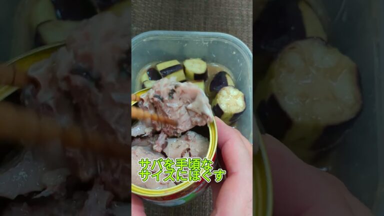 5分でできるナスの手抜きメニュー　#簡単料理　#オカズ　#ナス　#サバ缶　