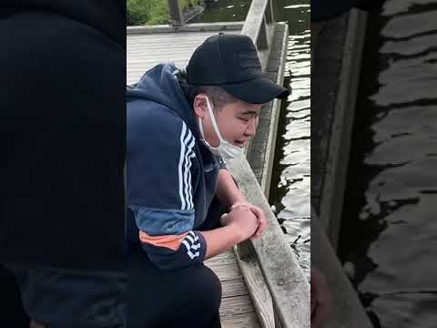 腹ペコの鯉に大量のエサをあげたら大パニックになったwww #Shorts