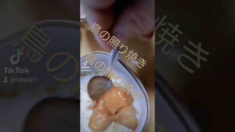15秒クッキング 鳥の照り焼き#ナタディ #15秒クッキング#タルタルソース