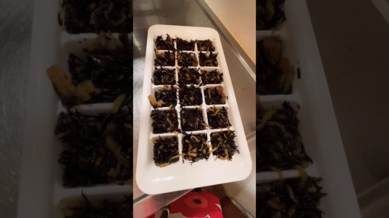 ひじき煮は凍らせて常備してます😋✨️#shorts #ひじき #作り置き #冷凍ストック