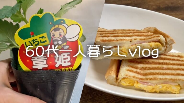 【60代低年金一人暮らし】朝食にホットサンド/スーパーで買ったいちごの育て方は？/晩御飯は山菜おこわ/春キャベツの節約レシピ【料理vlog】#103