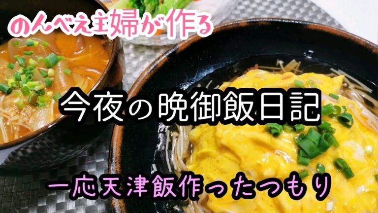 料理動画#90★今夜の晩御飯日記★一応天津飯作ったつもりの晩御飯