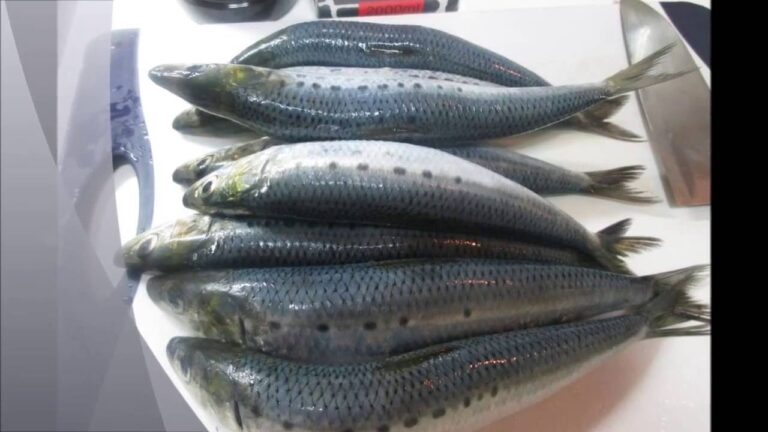 旬のイワシの生姜煮