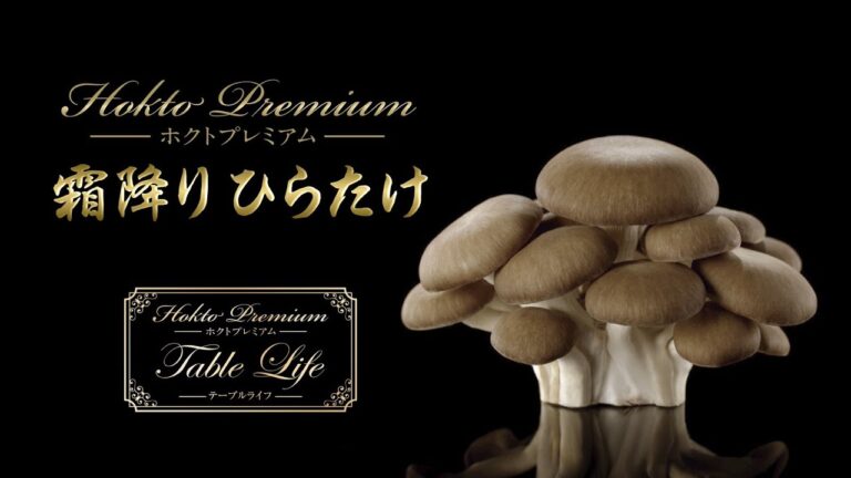 【8月】霜降りひらたけレシピ　柔らかポークの山椒炒め／酸辣湯