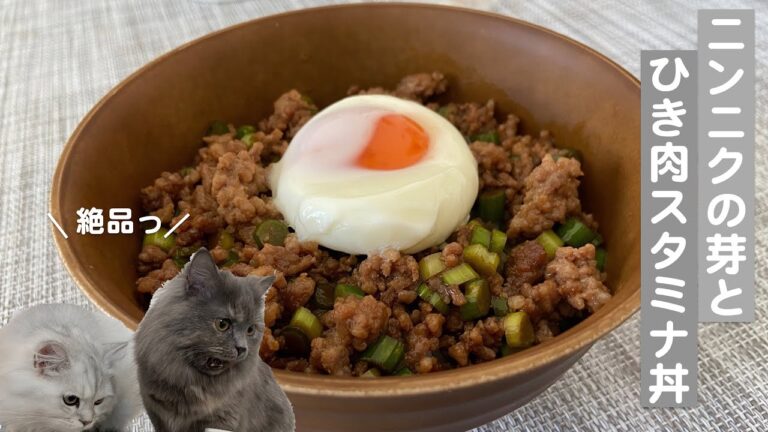 ニンニクの芽とひき肉のスタミナ丼with cats