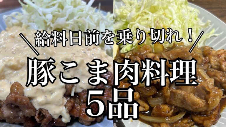 【給料日前】安い豚こま肉を美味しく自炊する動画【片栗粉様】