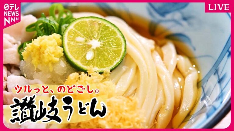 【うどんまとめ】 お客さんファーストな繁盛店/ 岡本太郎も愛した！コシ強い"もちもち"うどん/出汁で味変！進化する濃厚カレーうどん