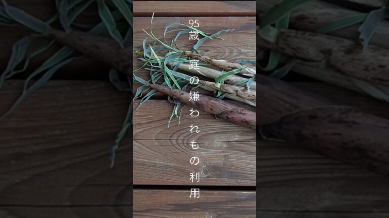 #タケノコ味噌汁#田舎 #cooking #japan #japaneseculture #japanesefood #田舎暮らし #竹