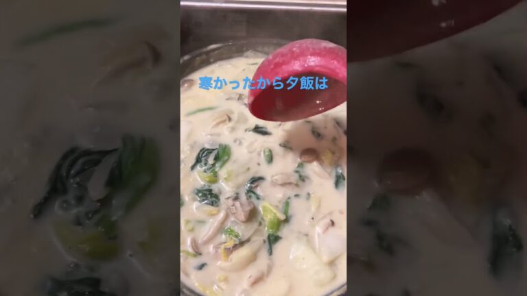 【今日の夕飯】白菜と牡蠣のクリームシチュー【ゲーム実況者の自炊記録】#shorts #夕飯 #クリームシチュー #グルメ #ゲーム実況 #自炊