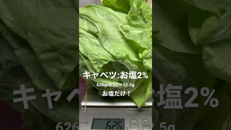 春キャベツの浅漬けだよ！#shorts #ずぼら飯