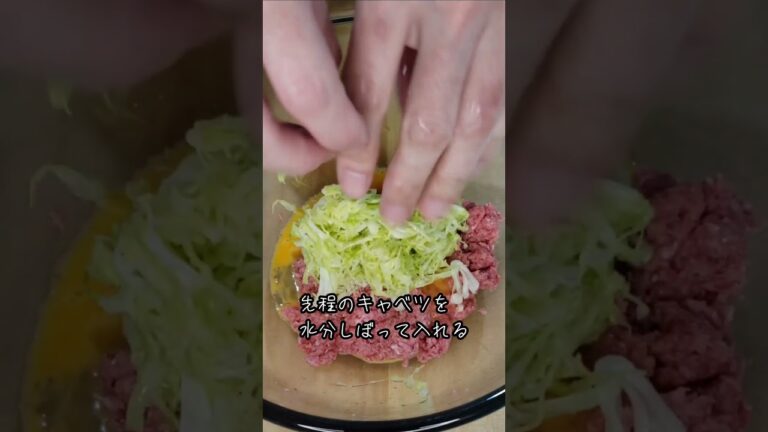 【肉汁ジュワッ！！】春キャベツたっぷりでバクバク食べれちゃう