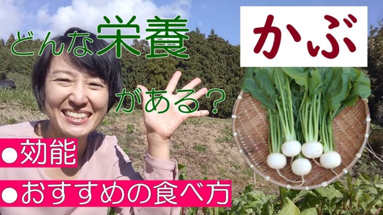 かぶの栄養価・効能・おすすめの調理法を管理栄養士が解説