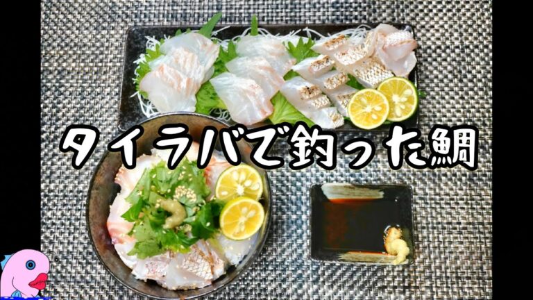 前回タイラバで釣った鯛を「お刺身」「炙り」「出汁茶漬け」で食べたらスーパー美味かった！